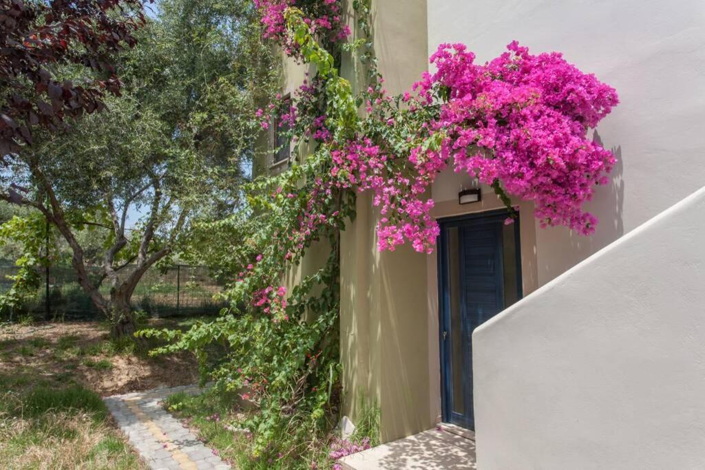 Villa Manolis La Canée Extérieur photo